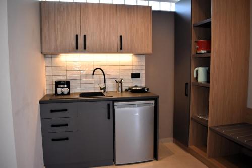 a small kitchen with a sink and a dishwasher at Eden Beach Hotel in Agia Marina Nea Kydonias
