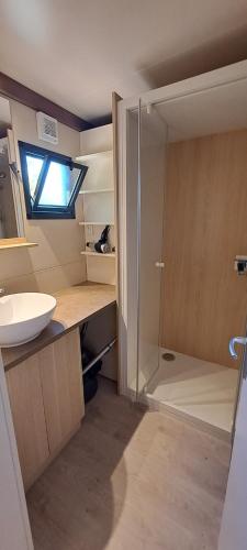 La salle de bains est pourvue d'une douche, d'un lavabo et d'un miroir. dans l'établissement Camping les Campagnes, à Rocamadour