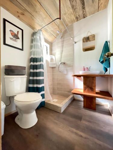 a bathroom with a toilet and a shower at Casa del Árbol - Camping in Malalcahuello