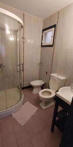 a bathroom with a shower and a toilet and a sink at Mendoza Centro 1 dormitorio in Mendoza