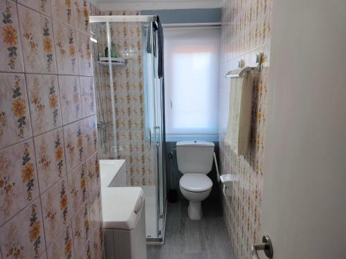 a bathroom with a toilet and a shower and a sink at Casa Tito 2 in Santo Domingo de la Calzada