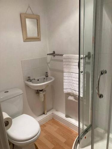 a bathroom with a toilet and a sink and a shower at Studio Annexe with separate shower room in Broadhempston