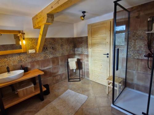 W łazience znajduje się umywalka i prysznic. w obiekcie Chalupa Kamenný Vrch Adršpach w mieście Teplice nad Metují