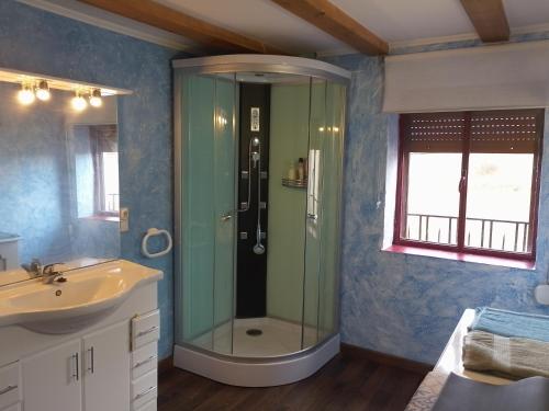 Casa Juan في Santa Olaja de Eslonza: حمام مع دش زجاجي ومغسلة