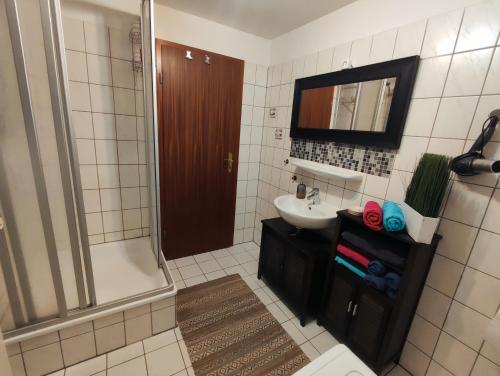 La salle de bains est pourvue d'un lavabo, d'une douche et de toilettes. dans l'établissement FeWo - SEEluft am Zwenkauer See, à Zwenkau
