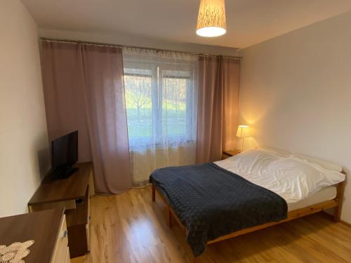 - une chambre avec un lit, une télévision et une fenêtre dans l'établissement Apartament Zacisze, à Ustroń
