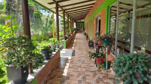 a greenhouse with potted plants on a brick walkway at Finca Hotel el Vergel Filandia Quindio in Filandia