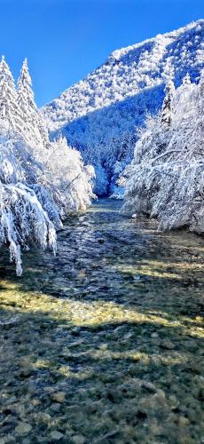 a river with snow covered trees next to a mountain at Riverside Guesthouse in Ig