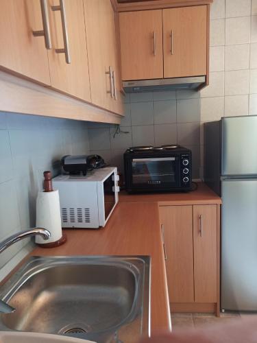 a kitchen with a sink and a microwave at Feneos apartment in Feneos