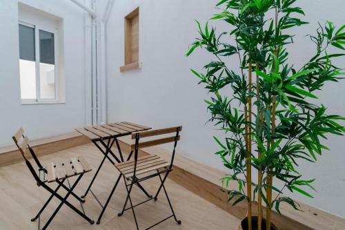 einen Tisch und zwei Stühle und eine Pflanze in einem Zimmer in der Unterkunft Apartamentos TriBeca Centro II in Albacete