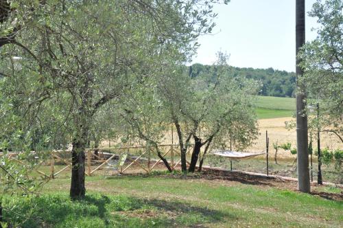 Gallery image of Res Nova Il Colle in Portaria