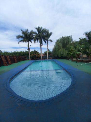 uma grande piscina com palmeiras ao fundo em San Rafael em Porto Iguaçu