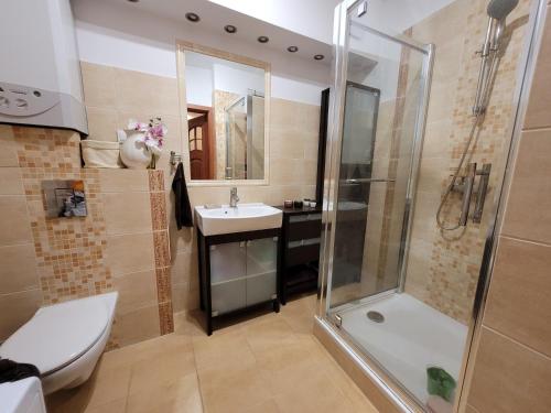 y baño con ducha y lavamanos. en Apartament u podnóża Gór Stołowych en Radków