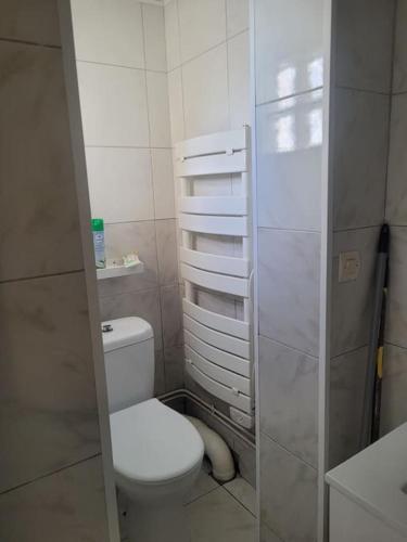 La petite salle de bains est pourvue d'une douche et de toilettes. dans l'établissement Joli studio bleu mer, à Canet