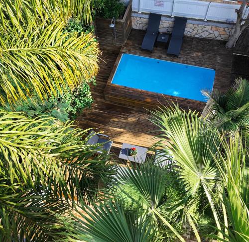 an overhead view of a swimming pool and palm trees at Rosen Villa at Ramat Hahayal in Tel Aviv