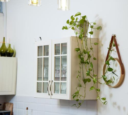 eine Küche mit weißen Schränken und einer Pflanze in der Unterkunft Rosen Villa at Ramat Hahayal in Tel Aviv