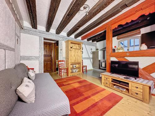 un salon avec un canapé et une télévision dans l'établissement Ninichou, à Ribeauvillé