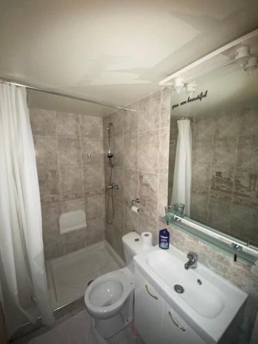 een badkamer met een toilet, een wastafel en een douche bij Nice Studio Livry in Livry-Gargan