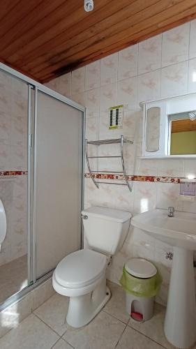 a bathroom with a toilet and a sink at Lucerna Hostería in Curanipe