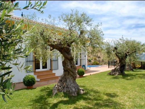 Casa Nobleza