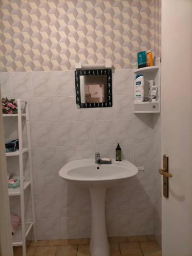 une salle de bain avec un lavabo blanc et un miroir dans l'établissement Belle maison a Brizay, à Brizay