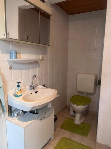 een badkamer met een wastafel en een toilet bij Einzelzimmer Erdgeschoss in Münchenbernsdorf