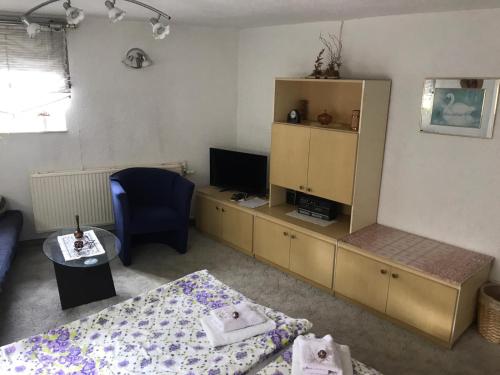 TV a/nebo společenská místnost v ubytování Ferienwohnung