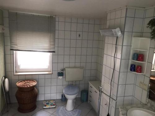 uma casa de banho com um WC, um lavatório e uma janela em Ferienwohnung em Münchenbernsdorf