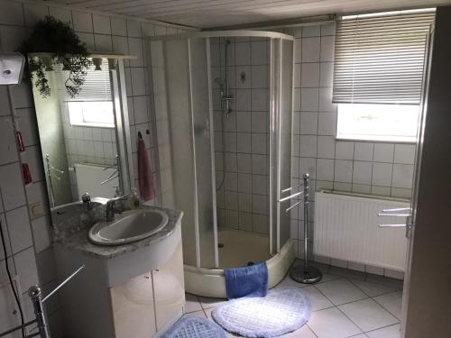 y baño con ducha, lavabo y espejo. en Ferienwohnung en Münchenbernsdorf