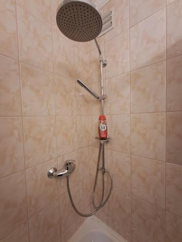 a shower with a hose and a shower head in a bathroom at Madise Avenue apartment in Narva