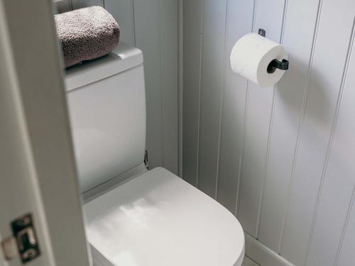 baño con aseo y papel higiénico en Mimis Meadow-uk36576, en Milton Abbot