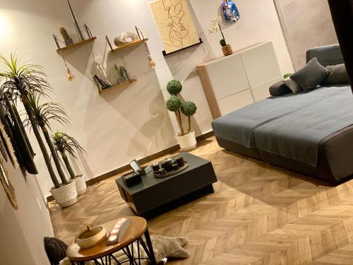 Gallery image of Emy house in Ariana