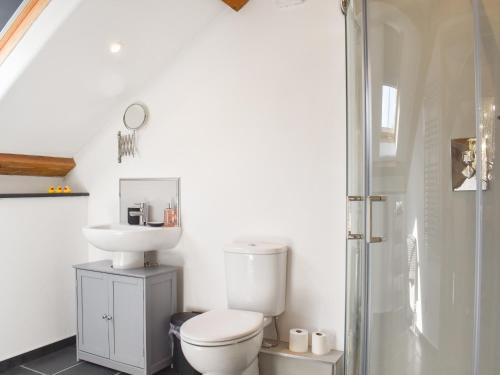 a bathroom with a toilet and a sink and a shower at Slade Barn - Uk42977 in Highbray