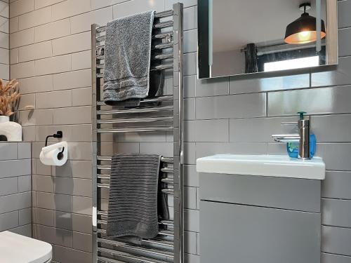 W łazience znajduje się umywalka, lustro i ręczniki. w obiekcie Waterside Garden w mieście Appledore