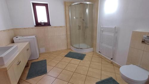 een badkamer met een douche, een toilet en een wastafel bij Domček pod Borom in Suchá Hora