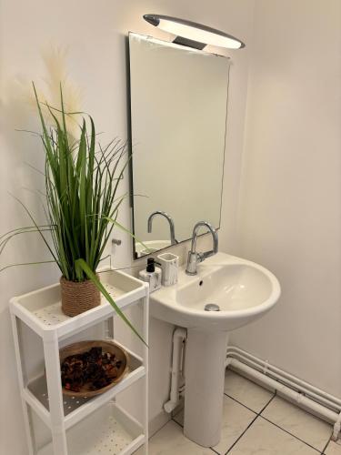 La salle de bains est pourvue d'un lavabo, d'un miroir et d'une plante. dans l'établissement Somptueux Appart' Aux Portes de Disneyland, à Serris