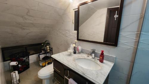 bagno con lavandino, servizi igienici e specchio di Luxury 3 Bedroom Apartment a Puerto Limón
