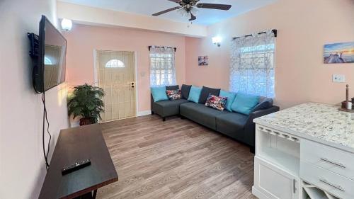 a living room with a couch and a flat screen tv at Lulu cottage in Basseterre