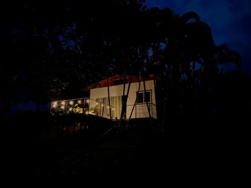 een huis 's nachts met een boom op de voorgrond bij Ficus house in Boca Tapada