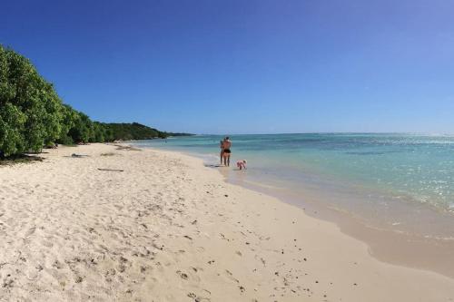 a man and a dog walking on a beach at Villa Petite Terre à 50 mètres de la plage in Saint-François
