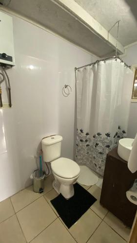Cabaña Chaitén في شايتن: حمام مع مرحاض ومغسلة