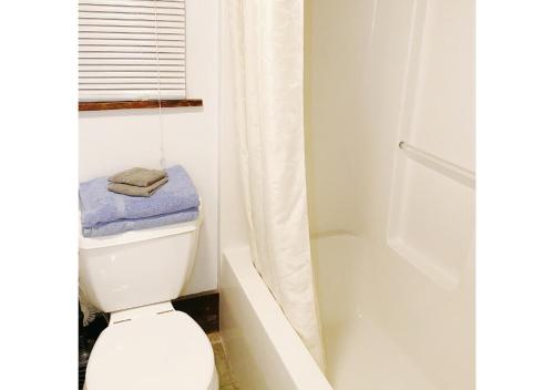 a white bathroom with a toilet and a shower at Charming & Cozy - Breathtaking Lake & Sunset Views in Harveys Lake