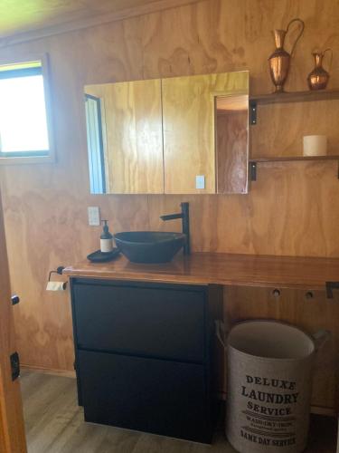 a bathroom with a blue sink and a mirror at White Pine Bush Cabins in Otangihaku