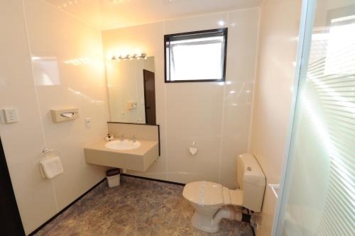 a bathroom with a sink and a toilet and a mirror at Alcala Motor Lodge in Dunedin