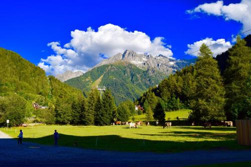 a group of people in a field with a mountain at Hotel Garni Pegrà in Ponte di Legno