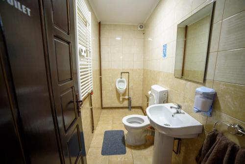 a bathroom with a toilet and a sink and a urinal at Cabana Georgiana in Arieşeni