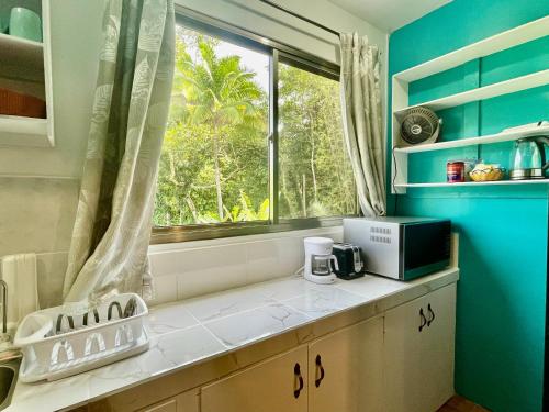 a kitchen with a sink and a window at Ngermid Oasis Large Studio With Kitchen & Scenic Views in Koror