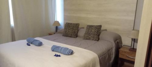 a bedroom with a bed with two blue pillows on it at Departamento Lemos 678 in Mendoza