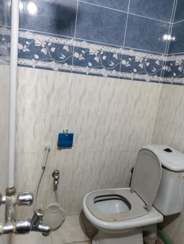 a small bathroom with a toilet and a shower at Homewood Suites Family Guest House & Apartments in Lahore