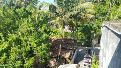 an overhead view of a house with a palm tree at Pinki Nest in Mirissa